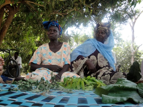 Traditional Midwives in Kabar with their medicinal herbs